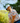 Feelin' Cocky Hat - White App - Best Selling Hats Best Sellers Gifts For Him Gifts Under $50 Hats Snapback Hats - OG Stocking Stuffers