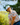 Feelin' Cocky Hat - White App - Best Selling Hats Best Sellers Gifts For Him Gifts Under $50 Hats Snapback Hats - OG Stocking Stuffers