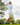Male model wearing the Downhill Polo golfing with greenery & sky in the background