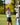 In Bloom Sleeveless Racerback Polo App - Women's Favorites Best Sellers women's sleeveless racerback polo womens