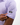 Lavender Haze Men's WeaveLight Jacquard Polo New New Release