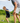 Scramble Men's Short - Black App - Men's Favorites Gifts For Him Men's Scramble Shorts Men's Shorts