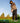 Man playing golf on a sunny day with trees in the background