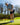 For The Golfer