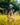 Individual walking through tall grass dressed in golf apparel and carrying a club.