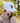 Male model wearing the 19th Hole Hat outside with greenery in the background