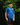 Model wearing the Big Cat Boy's polo outside with trees in the background