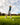 Model wearing the Bird Dog Polo on the golf course about to hit a ball.