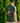Male model wearing the Bird Dog Club T-shirt outside with greenery in the background