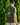 Male model wearing the Bird Dog Club T-shirt outside with greenery in the background