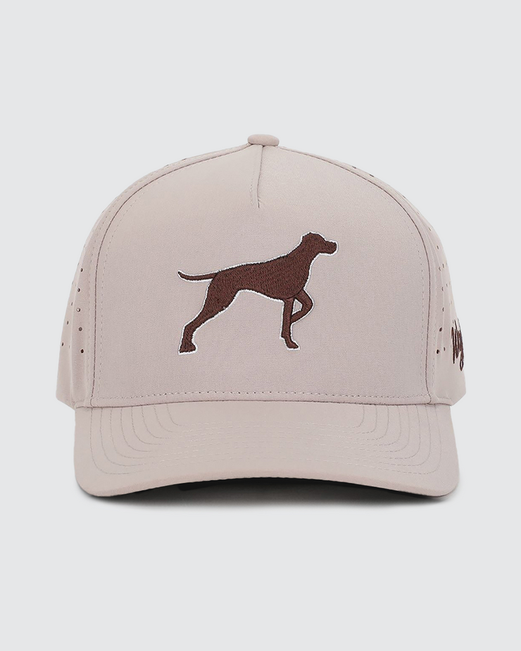 Bird Dog Hat