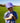Crazy Eight Youth Hat