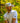 Model wearing the Cribbage Polo on the golf course with greenery in the background.