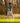Model wearing the Deer Stand Polo on the golf course getting ready to hit a shot. Trees and greenery are featured in the background.