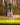 Model wearing the Deer Stand Polo on the golf course getting ready to hit a shot. Trees and greenery are featured in the background.