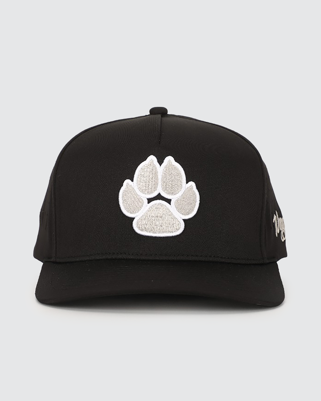 Dog Dad Hat