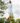 Male model wearing the Downhill Polo golfing with greenery & sky in the background