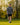 Model wearing the Ducks In A Row Twilight Quarter Zip walking up a fairway on the golf course.