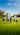 Family walking on golf course holding hands