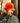 Model wearing the Flush Repel hat outside with trees in the background.