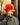 Model wearing the Flush Repel hat outside with trees in the background.