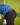 Model wearing the Kentucky Buck Caddie Boxers underneath his Waggle Polo + Shorts Combo