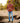 Male Model wearing the Kodiak Ridge Sherpa Pullover outside on a rocky shoreline with trees in the background.