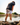 Model wearing the Loon Lake Caddie Boxers underneath his Waggle Polo + Shorts Combo