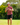Minnesota Gameday Polo on a male model with greenery in the background