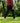 Model wearing the Rhythm Pants outside with greenery in the background