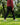 Model wearing the Rhythm Pants outside with greenery in the background