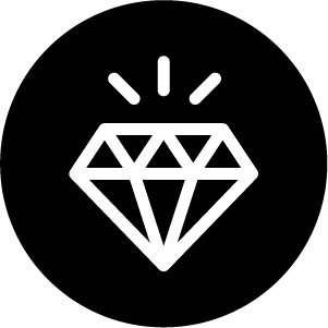 Premium Black Icon