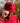 Model wearing the Roll Up Hat outside doing a hat tilt with trees in the background.