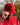Model wearing the Roll Up Hat outside doing a hat tilt with trees in the background.