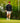 Model wearing the Shadowlands Twilight Quarter Zip on the golf course.