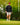 Model wearing the Shadowlands Twilight Quarter Zip on the golf course.