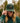 Model wearing the Stag Waxed Canvas Hat outside doing a hat tilt, with greenery in the background.