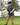 Model wearing the Ursa Major Boy's Polo outside with trees are green grass in the background