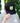 A male model wearing the Waggle Wildlife Trucker Hat outside with greenery in the background
