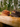 Two needlepoint Waxed Canvas Hats, resting on a cut wood plank outdoors in a forest setting.