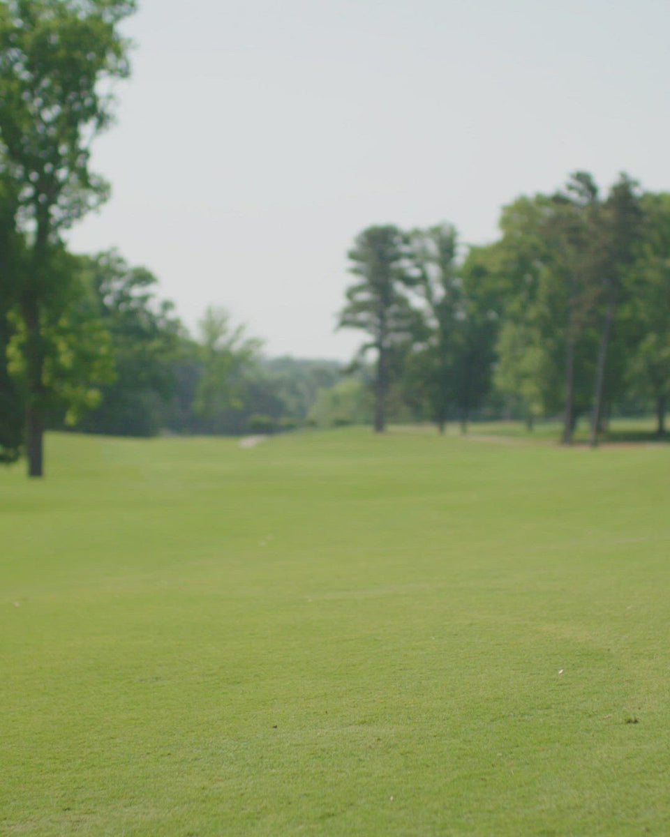 Men's Loon Lake Golf Polo Shirt Breathable & Comfortable Fit Waggle